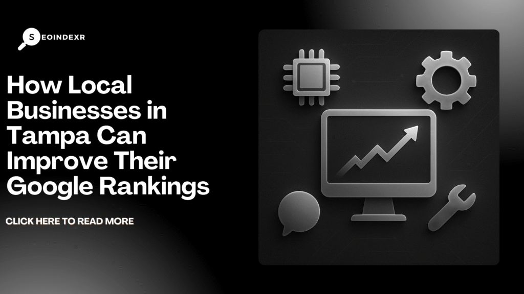tampa seo